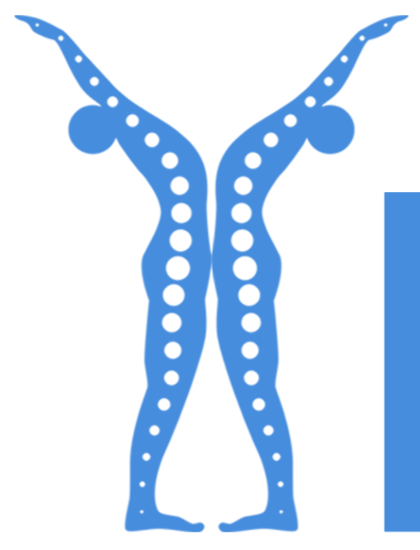 KneeRx